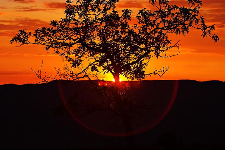 Ad:  img_3446-01.jpg
Gsterim: 180
Boyut:  65.4 KB