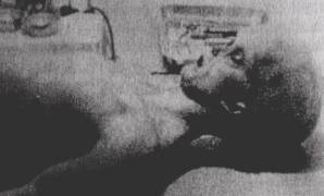 Ad: uzayli1.jpg
Gösterim: 821
Boyut: 7.2 KB