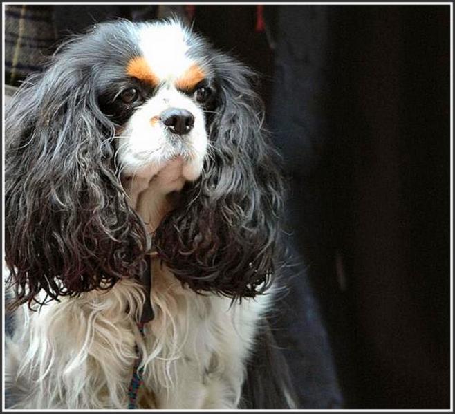 Ad:  awsfranopt.jpg
Gsterim: 264
Boyut:  59.5 KB