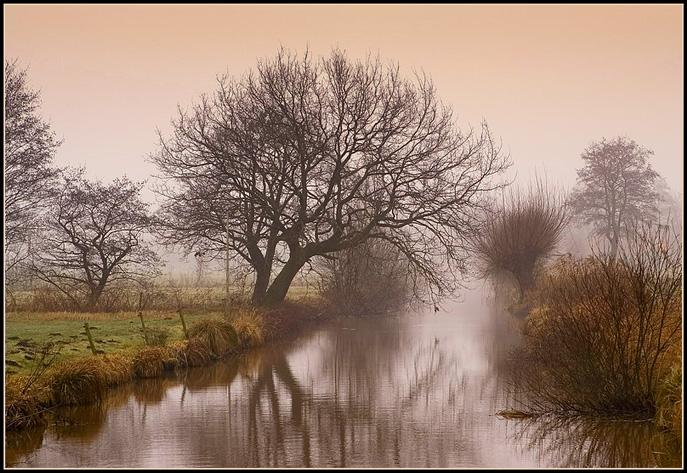 Ad:  fog_ws.jpg
Gsterim: 240
Boyut:  90.2 KB