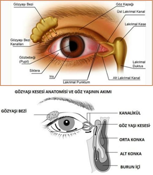 Ad:  gz.jpg
Gsterim: 5152
Boyut:  38.4 KB