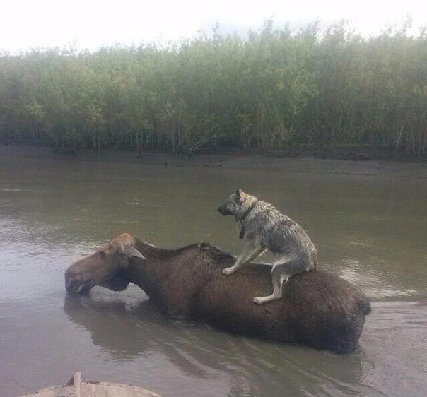 Ad:  3.jpg
Gsterim: 207
Boyut:  55.7 KB