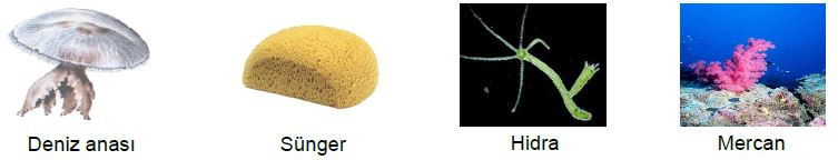 Ad:  bs1.JPG
Gsterim: 4568
Boyut:  24.6 KB