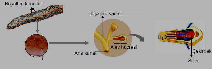 Ad:  bs2.JPG
Gsterim: 4800
Boyut:  27.4 KB