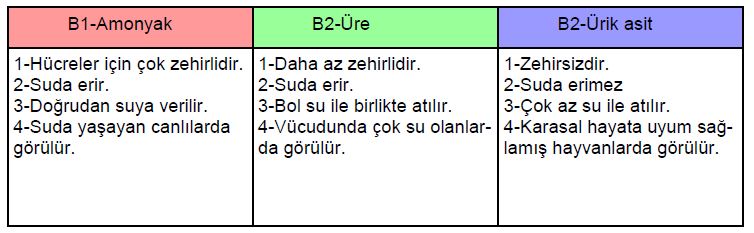 Al�nt�daki Ek 51741