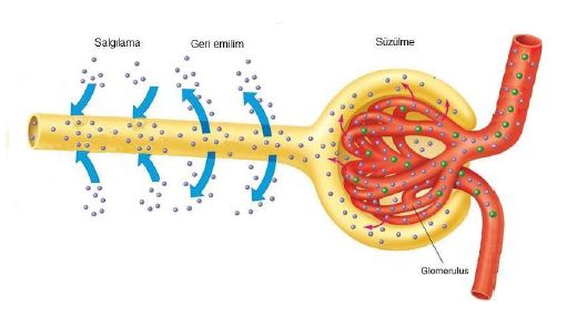 Ad:  bs8.JPG
Gsterim: 4645
Boyut:  28.1 KB