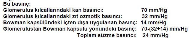 Al�nt�daki Ek 51751