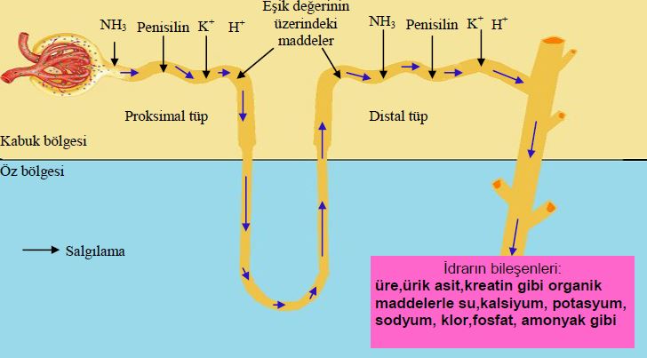 Ad:  bs13.JPG
Gsterim: 5241
Boyut:  42.9 KB