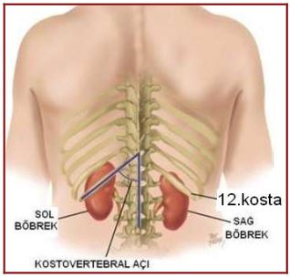 Al�nt�daki Ek 51758