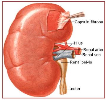 Ad:  bs4.JPG
Gsterim: 4902
Boyut:  29.2 KB