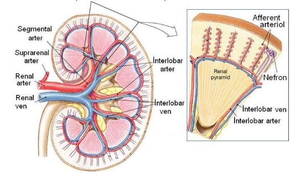 Ad:  bs6.JPG
Gsterim: 8028
Boyut:  50.1 KB