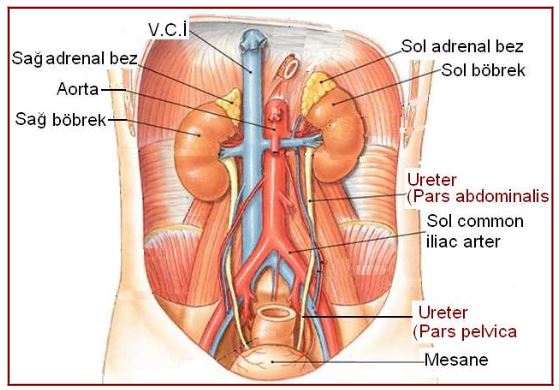 Ad:  bs7.JPG
Gsterim: 7232
Boyut:  53.1 KB