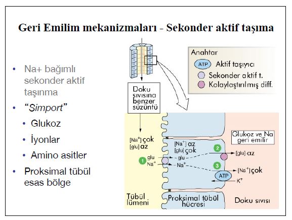 Al�nt�daki Ek 51777