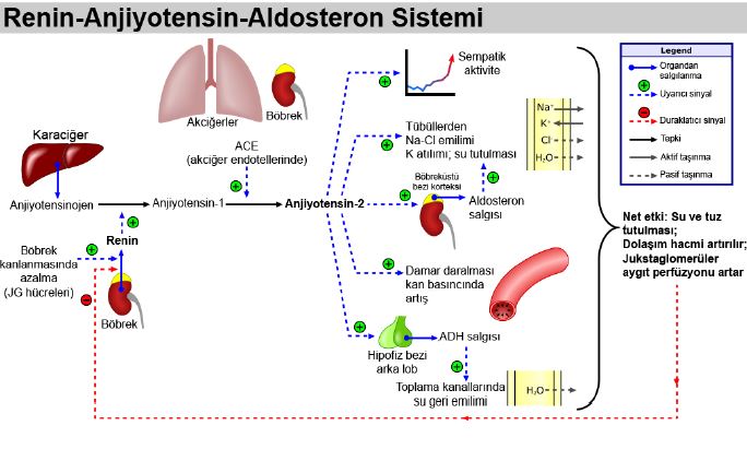 Al�nt�daki Ek 51783