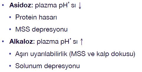 Al�nt�daki Ek 51786