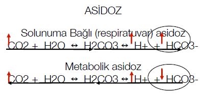 Al�nt�daki Ek 51787