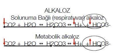 Al�nt�daki Ek 51788