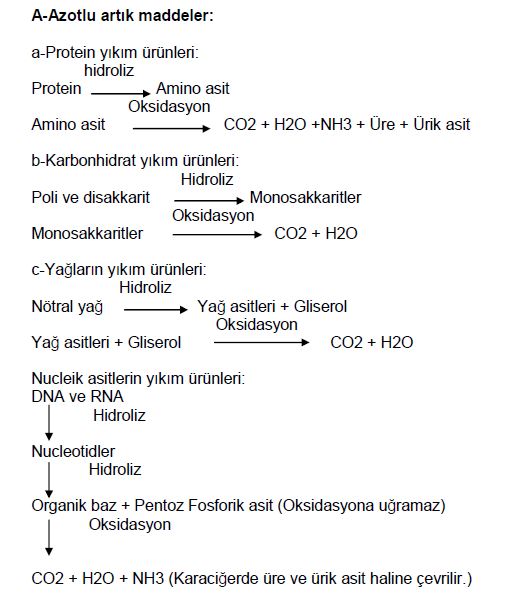 Al�nt�daki Ek 51797