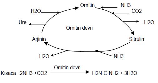 Ad:  sb2.JPG
Gsterim: 4862
Boyut:  23.4 KB