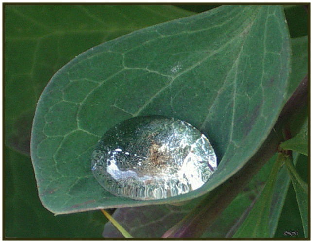 Ad:  wdrop4269.jpg
Gsterim: 301
Boyut:  65.0 KB