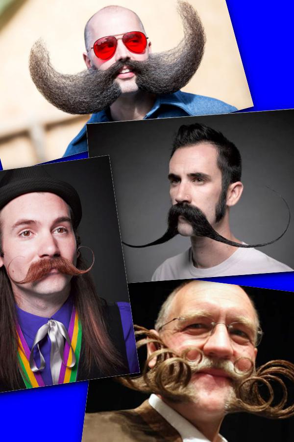 Ad:  byklar.jpg
Gsterim: 2449
Boyut:  65.6 KB