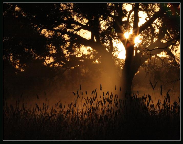 Ad:  trekduskinthenortheast.jpg
Gsterim: 202
Boyut:  64.6 KB