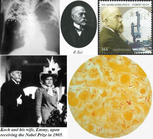 Ad:  Robert Koch2.jpg
Gsterim: 629
Boyut:  46.4 KB