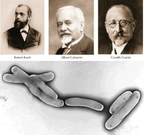 Ad:  verem1.jpg
Gsterim: 3213
Boyut:  32.5 KB