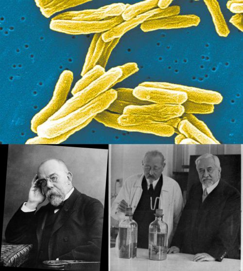 Ad:  verem2.jpg
Gsterim: 3389
Boyut:  54.5 KB