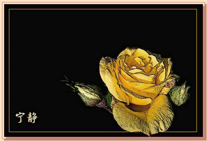 Ad:  gul_398.jpg
Gsterim: 417
Boyut:  46.3 KB