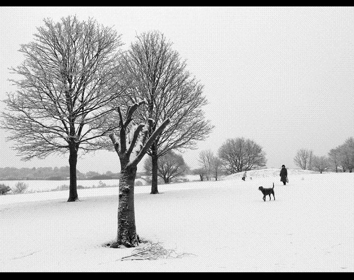 Ad:  winter_stoll_lr.jpg
Gsterim: 296
Boyut:  105.9 KB