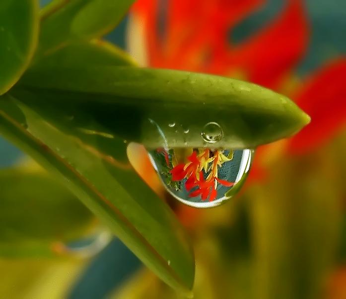 Ad:  treklens2.jpg
Gsterim: 278
Boyut:  30.0 KB