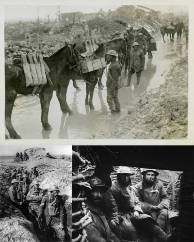 Ad: bds.jpg
Gösterim: 5548
Boyut: 45.4 KB