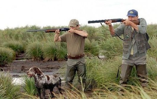 Ad:  Avclk.jpg
Gsterim: 1086
Boyut:  41.9 KB