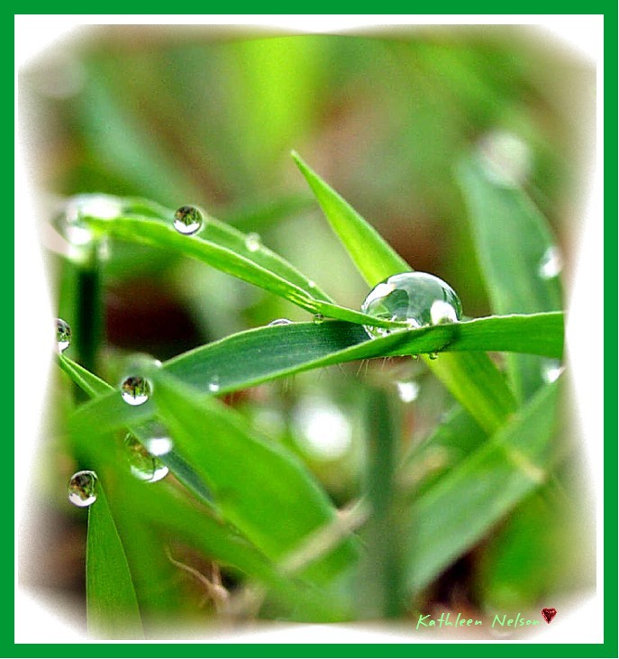 Ad:  dewdrops_tl.jpg
Gsterim: 252
Boyut:  105.9 KB