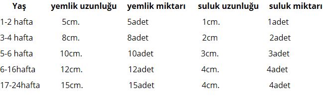 Ad:  Hindi.jpg
Gsterim: 1531
Boyut:  29.3 KB