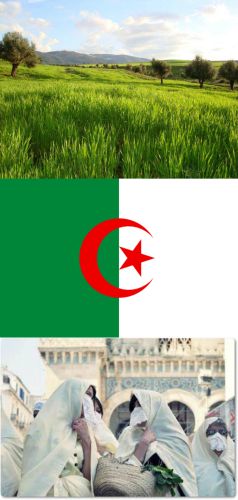 Ad:  Cezayir7.jpg
Gsterim: 1666
Boyut:  23.4 KB