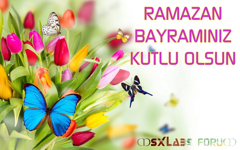 Ad:  bayram.jpg
Gsterim: 12491
Boyut:  102.0 KB