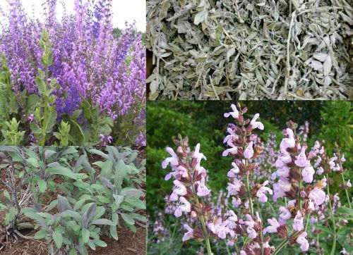 Ad: adaçay7.jpg
Gösterim: 623
Boyut: 64.8 KB