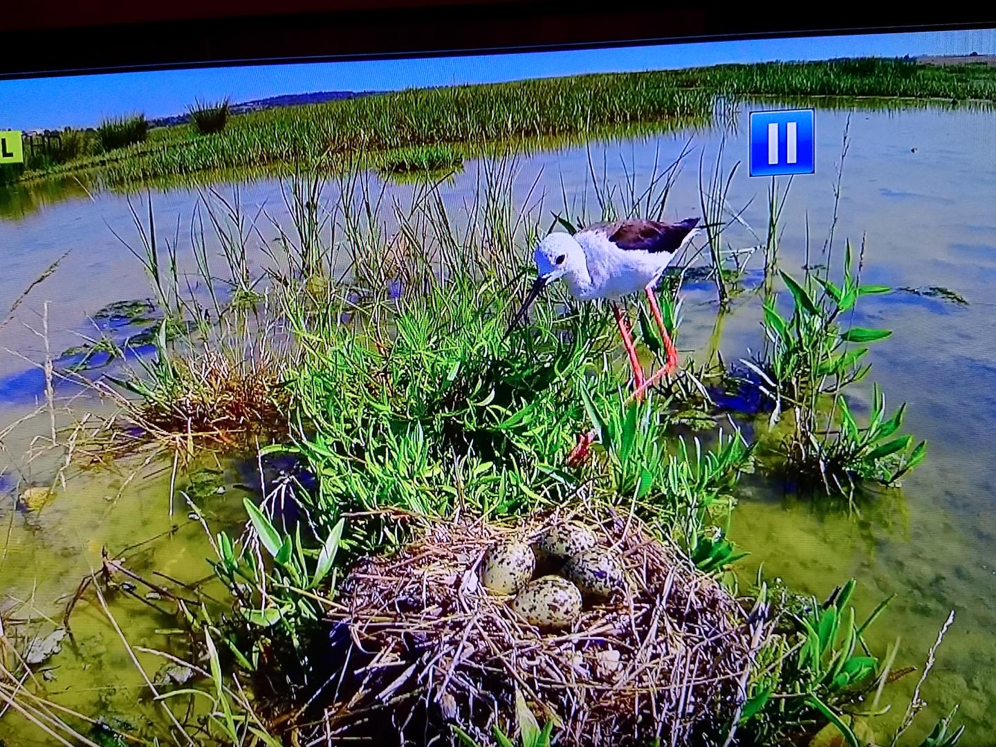 Ad:  DSC_0227.jpg
Gsterim: 316
Boyut:  407.8 KB