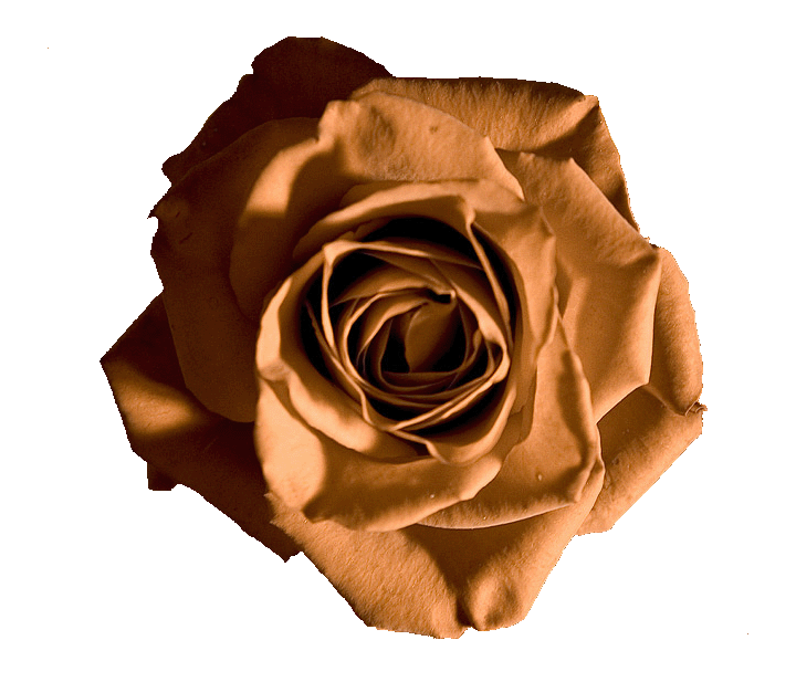 Ad:  131_3134_800small copy.gif
Gsterim: 442
Boyut:  152.6 KB