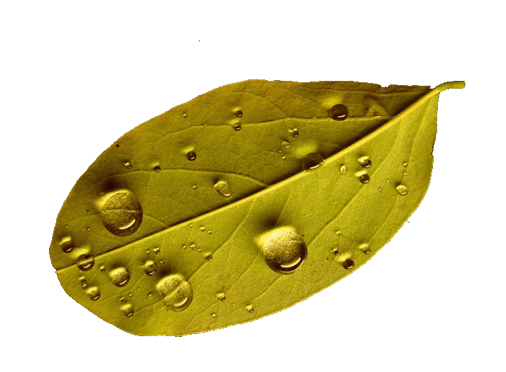 Ad:  esocseppek copy.gif
Gsterim: 262
Boyut:  119.9 KB