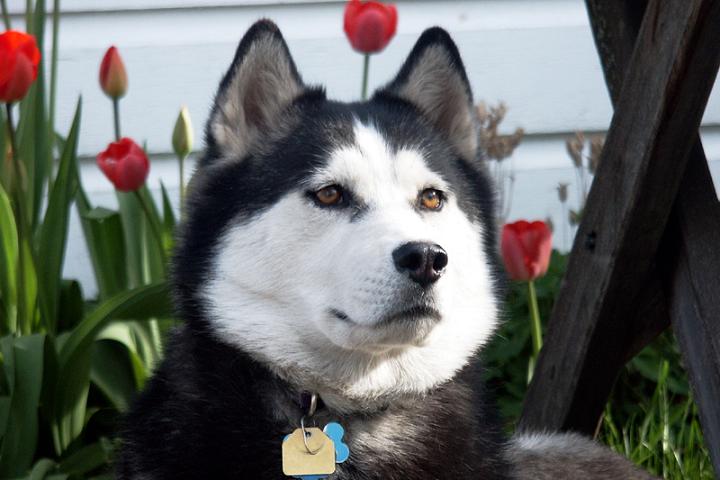 Ad:  20020810tasha.jpg
Gsterim: 200
Boyut:  45.0 KB