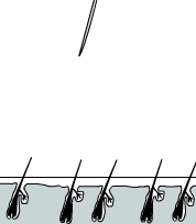 Ad:  sa kk ekimi.gif
Gsterim: 3062
Boyut:  67.3 KB