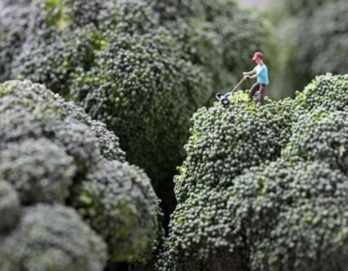 Ad: minyatür dünya2.jpg
Gösterim: 446
Boyut: 263.4 KB