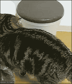 Ad:  gif_7851.gif
Gsterim: 381
Boyut:  1.023.7 KB