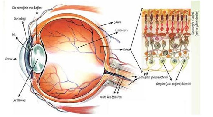 Ad:  gz.JPG
Gsterim: 7299
Boyut:  52.9 KB