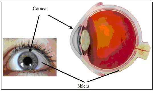 Ad:  gz2.JPG
Gsterim: 5495
Boyut:  35.0 KB