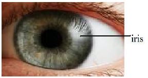 Ad:  gz3.JPG
Gsterim: 4349
Boyut:  15.7 KB