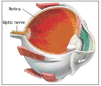 Ad:  gz5.JPG
Gsterim: 4568
Boyut:  27.6 KB